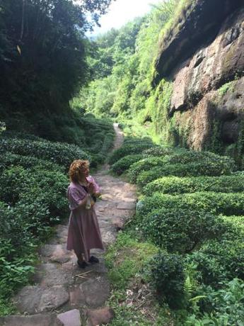 Imagen general del Hostel L K. Foto 3