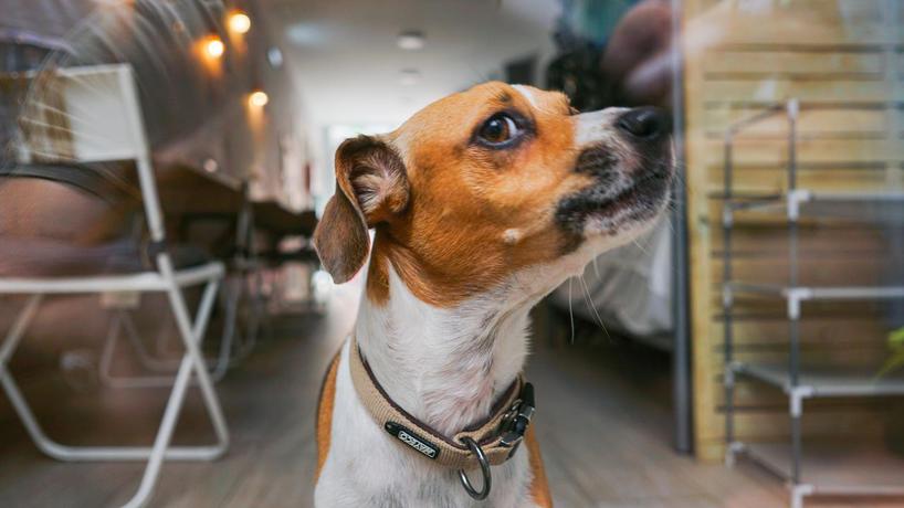 Imagen general del Hostel La Casa Del Colibri Youth. Foto 3