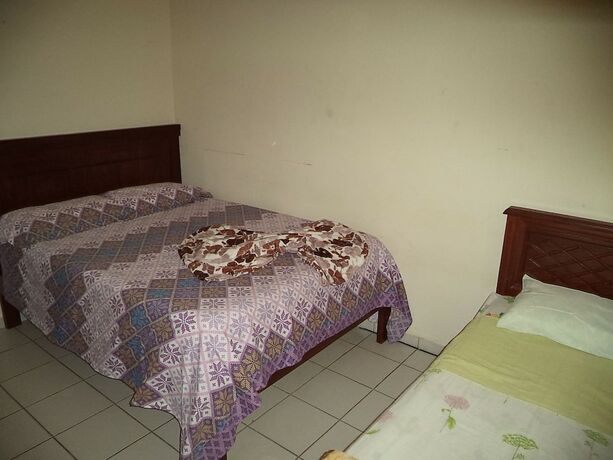 Imagen general del Hostel La Jara. Foto 3