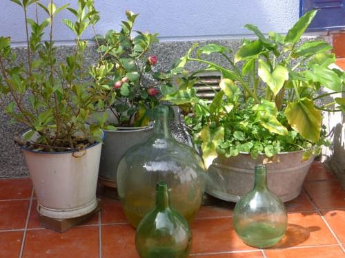 Imagen general del Hostel La Luna, Madrid. Foto 6