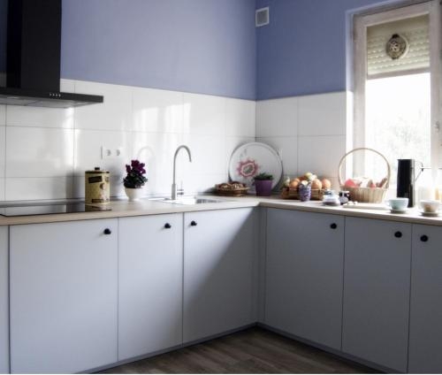 Imagen general del Hostel La Madriguera. Foto 4