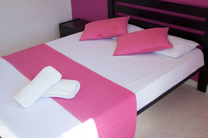 Imagen general del Hostel La Mas&iacute;a Summer. Foto 16