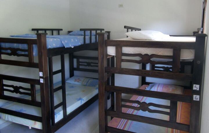 Imagen de la habitación del Hostel La Mas&iacute;a Summer. Foto 23