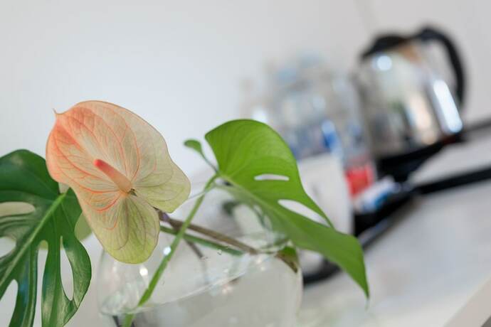 Imagen de la habitación del Hostel La Ripa. Foto 21