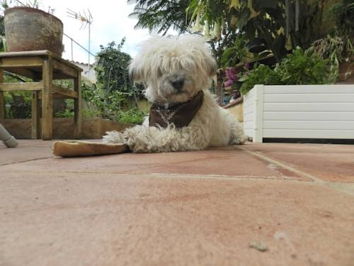 Imagen general del Hostel La Terrera Youth. Foto 9