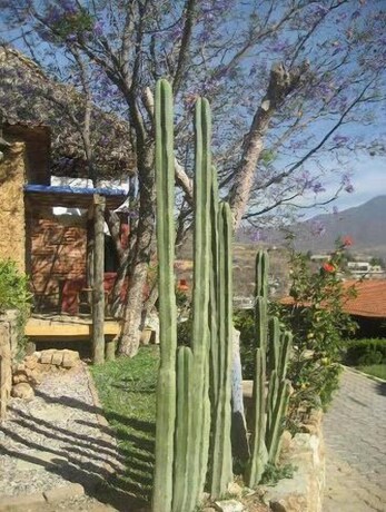 Imagen de los exteriores del Hostel La Villada Inn -. Foto 10