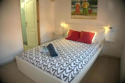 Imagen general del Hostel Las Palmas Nest. Foto 7