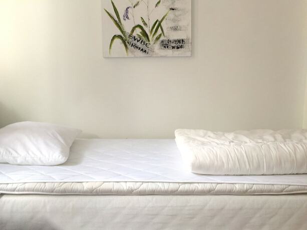 Imagen general del Hostel Linne. Foto 2