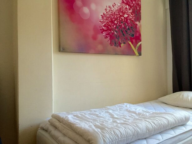 Imagen general del Hostel Linne. Foto 5