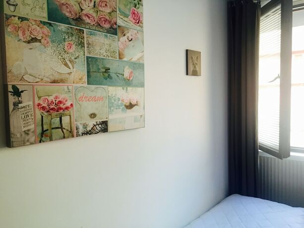 Imagen general del Hostel Linne. Foto 6