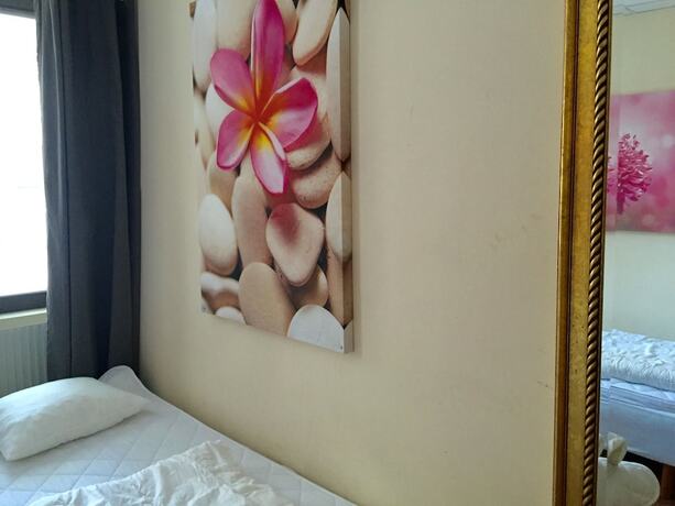 Imagen general del Hostel Linne. Foto 8