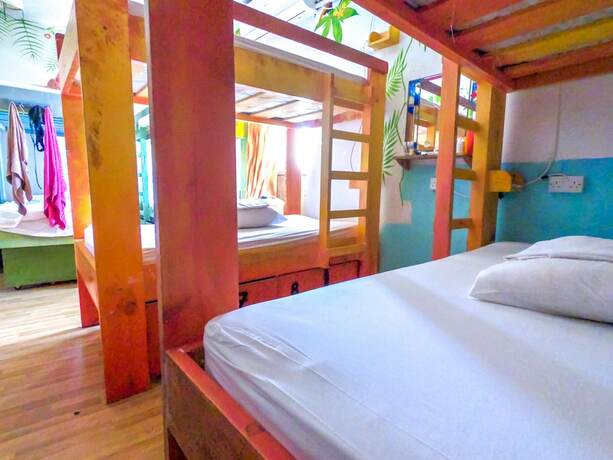 Imagen general del Hostel Malti. Foto 6