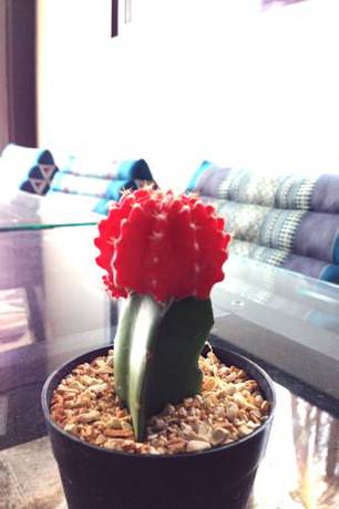 Imagen de la habitación del Hostel Mayom Phetchaburi. Foto 14