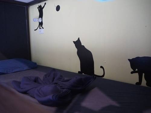 Imagen de la habitación del Hostel Me U, Chiang Mai. Foto 14
