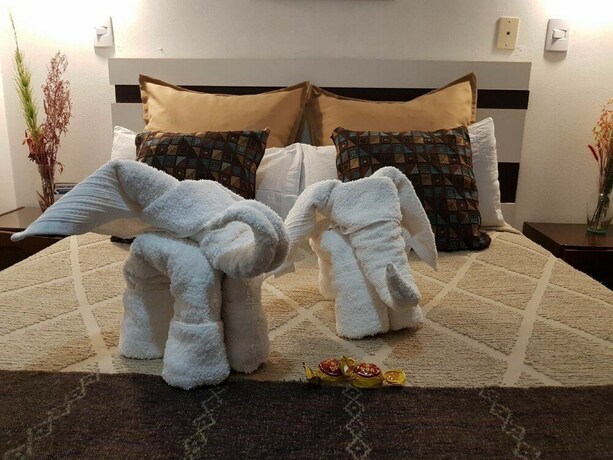 Imagen de la habitación del Hostel Mediterranea Cordoba. Foto 16
