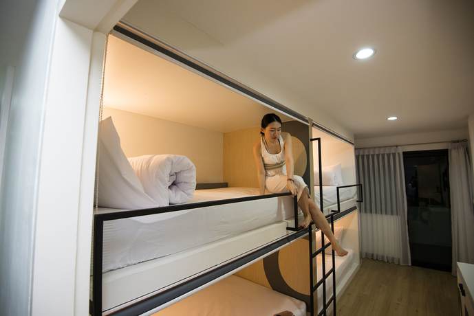 Imagen de los interiores del Hostel Monkey Nap. Foto 18