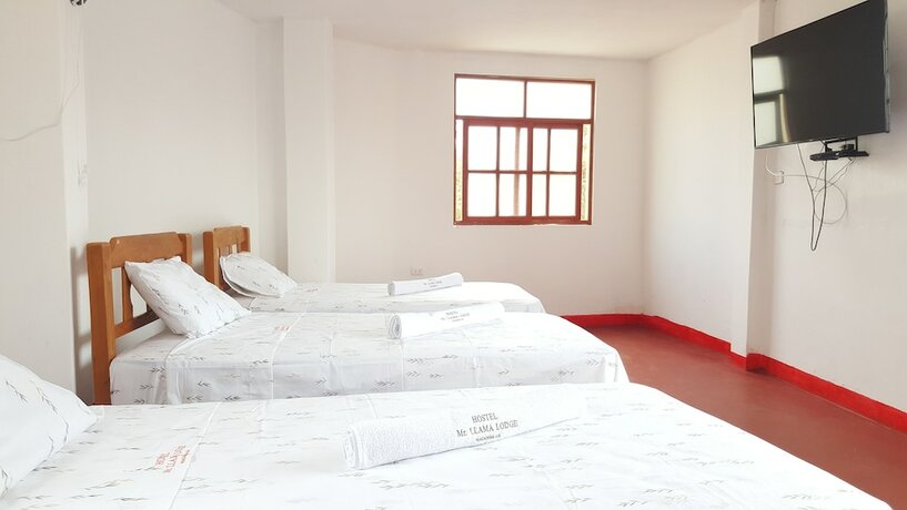 Imagen general del Hostel Mr. Llama Lodge. Foto 2