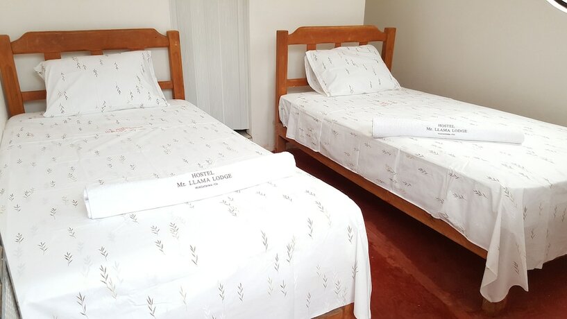 Imagen general del Hostel Mr. Llama Lodge. Foto 8