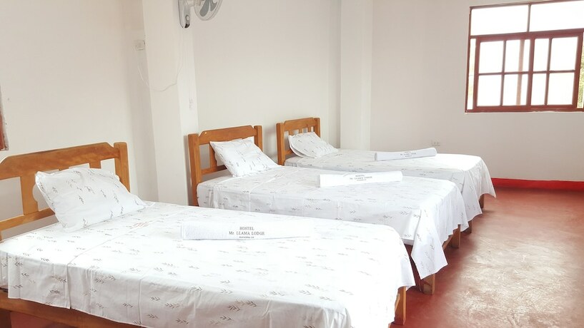 Imagen general del Hostel Mr. Llama Lodge. Foto 9