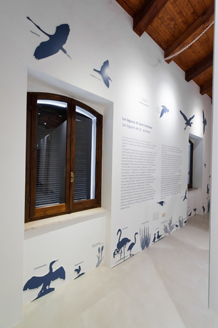 Imagen de los interiores del Hostel Muma. Foto 16