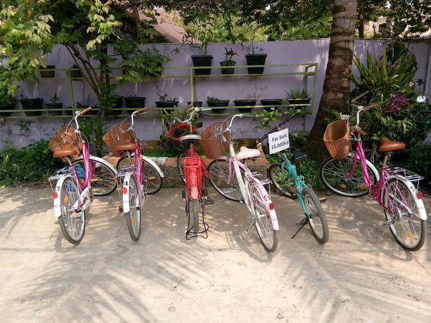 Imagen general del Hostel Nt Backpackers -. Foto 2