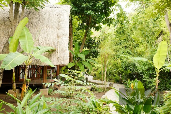 Imagen de los exteriores del Hostel Ocean Prana -. Foto 30