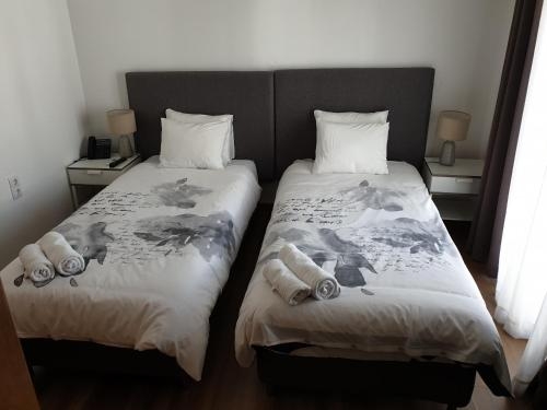 Imagen general del Hostel Oceanoasis. Foto 4