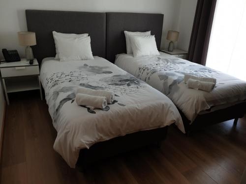 Imagen general del Hostel Oceanoasis. Foto 5