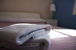 Imagen general del Hostel One Sevilla-alameda.. Foto 3