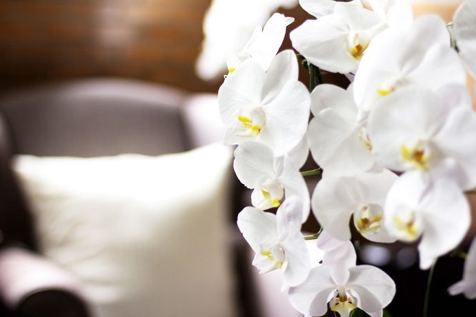 Imagen de los interiores del Hostel Oneday Sukhumvit 26. Foto 17