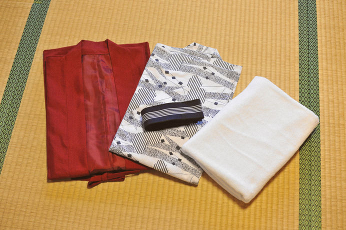 Imagen de la habitación del Hostel Onsen Hinoemi. Foto 4
