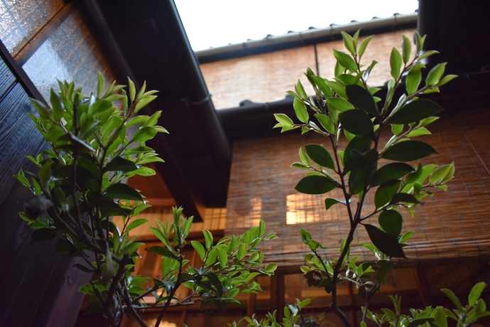 Imagen de los exteriores del Hostel Osaka Guesthouse Midoriya -. Foto 13