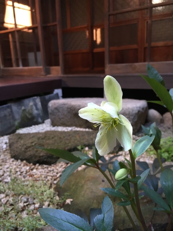 Imagen de los exteriores del Hostel Osaka Guesthouse Midoriya -. Foto 14