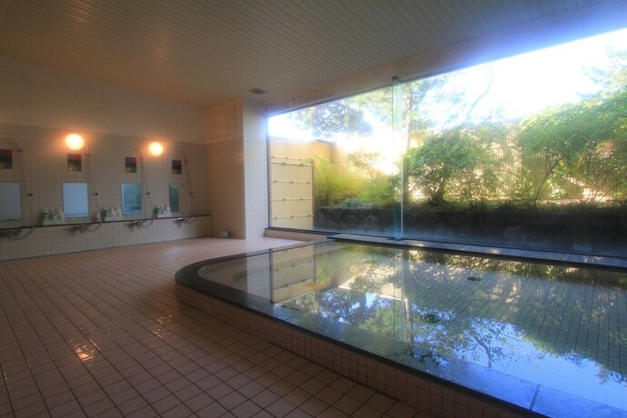 Imagen de la piscina del Hostel Osaka International Youth. Foto 34