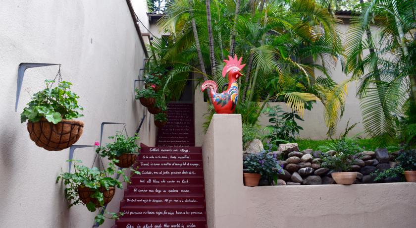 Imagen de los exteriores del Hostel Palmira. Foto 6