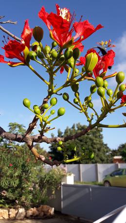 Imagen de la habitación del Hostel Palmita Hotel. Foto 13