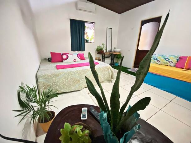 Imagen general del Hostel Passifloras. Foto 4