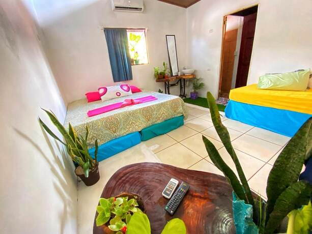 Imagen general del Hostel Passifloras. Foto 5