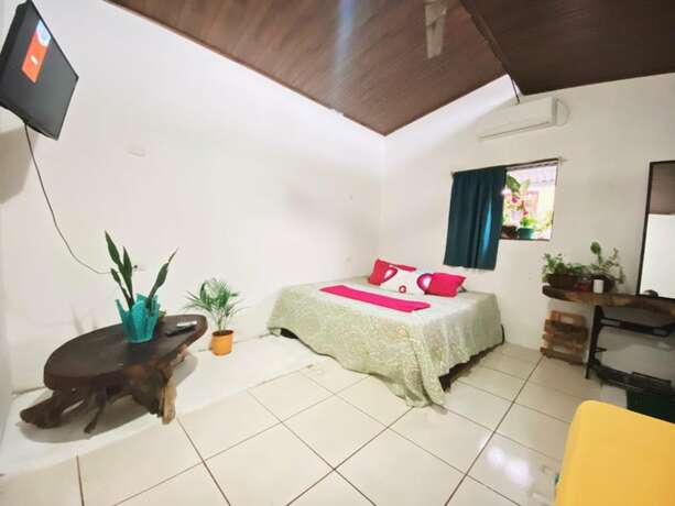 Imagen general del Hostel Passifloras. Foto 7