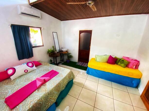 Imagen general del Hostel Passifloras. Foto 9