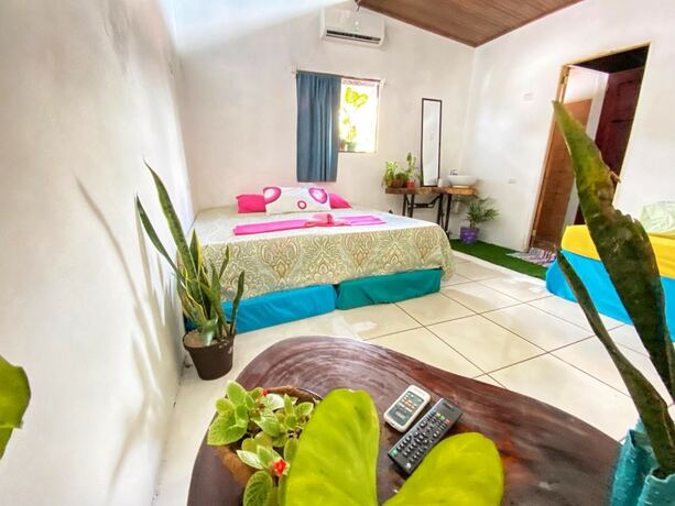 Imagen general del Hostel Passifloras. Foto 11