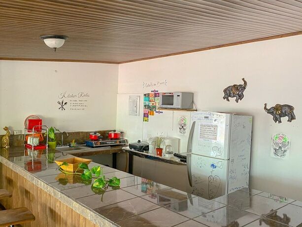 Imagen general del Hostel Passifloras. Foto 12