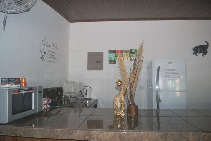 Imagen de los interiores del Hostel Passifloras. Foto 34