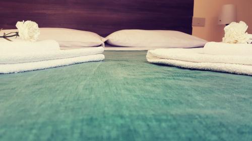 Imagen general del Hostel Pisa Lodge B&b. Foto 2