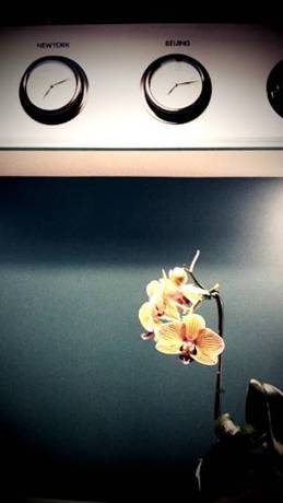 Imagen general del Hostel Ploy. Foto 2