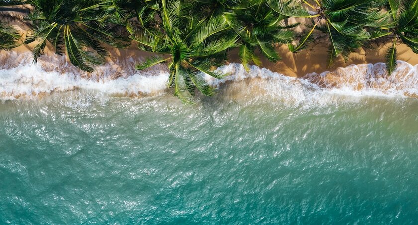 Imagen de la habitación del Hostel Polynesian Cabins by Kon Tiki. Foto 5