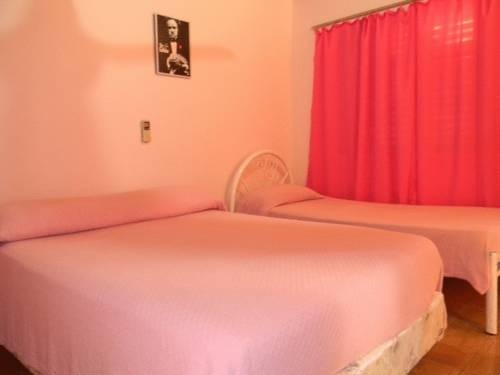 Imagen general del Hostel Pop Garden. Foto 12