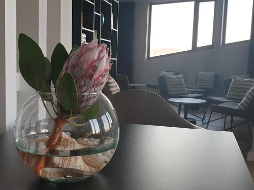 Imagen general del Hostel Porto Velho Boutique Lodge. Foto 3