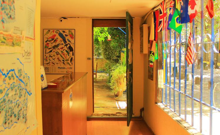 Imagen de los interiores del Hostel Posada del Maple. Foto 20
