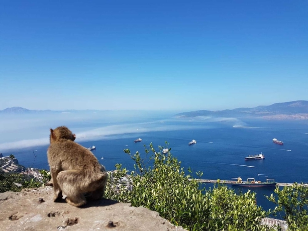 Imagen general del Hostel Puerto Algeciras. Foto 6